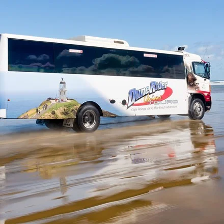Discover the Bay.jpg
