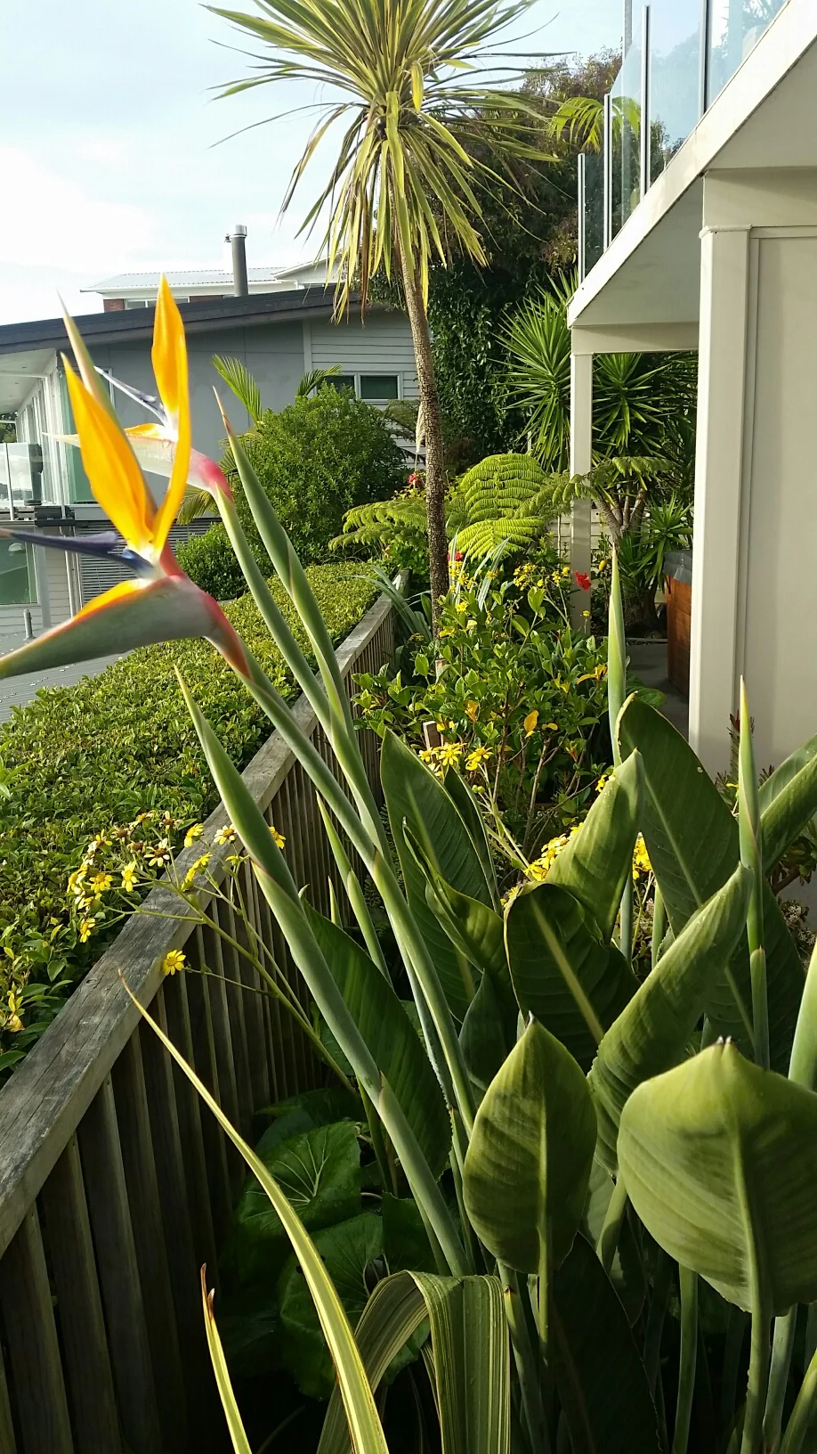 Garden 1.jpg