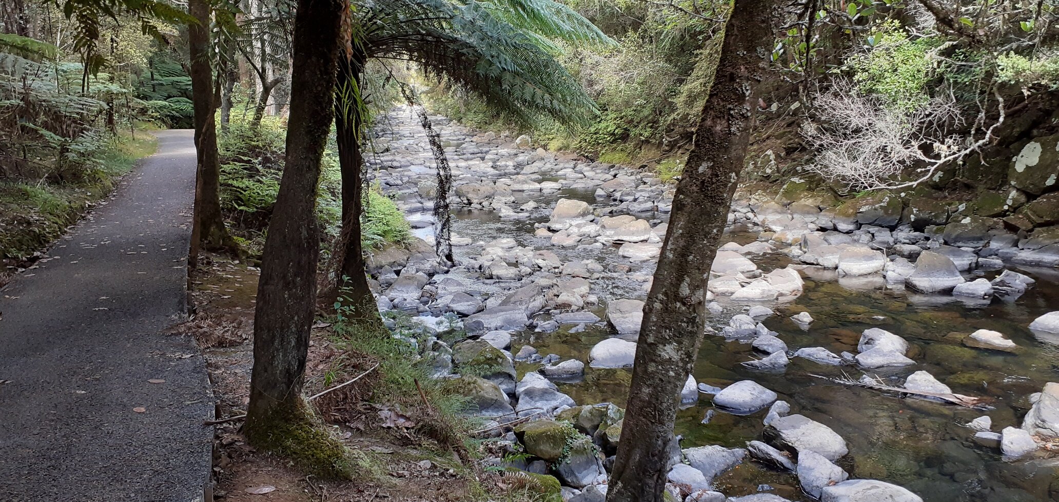 River Walks in Pure New Zealand