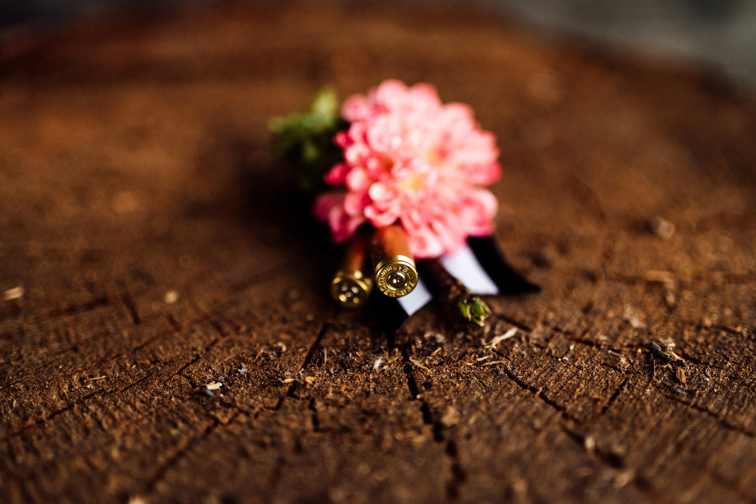 AshCaitPhoto-43.jpg