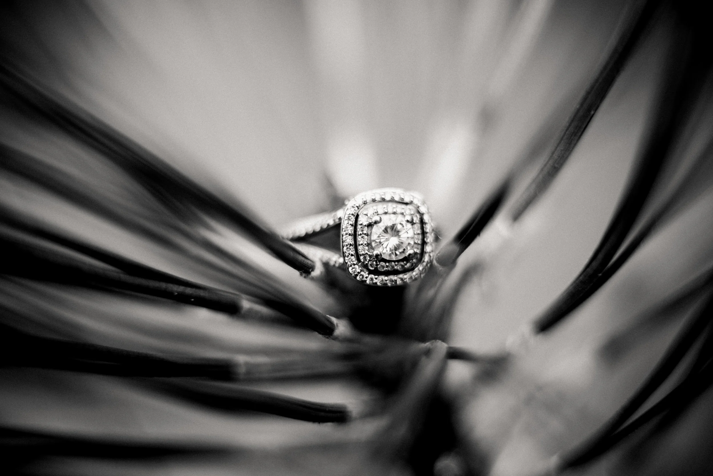 AshCaitPhoto-243.jpg