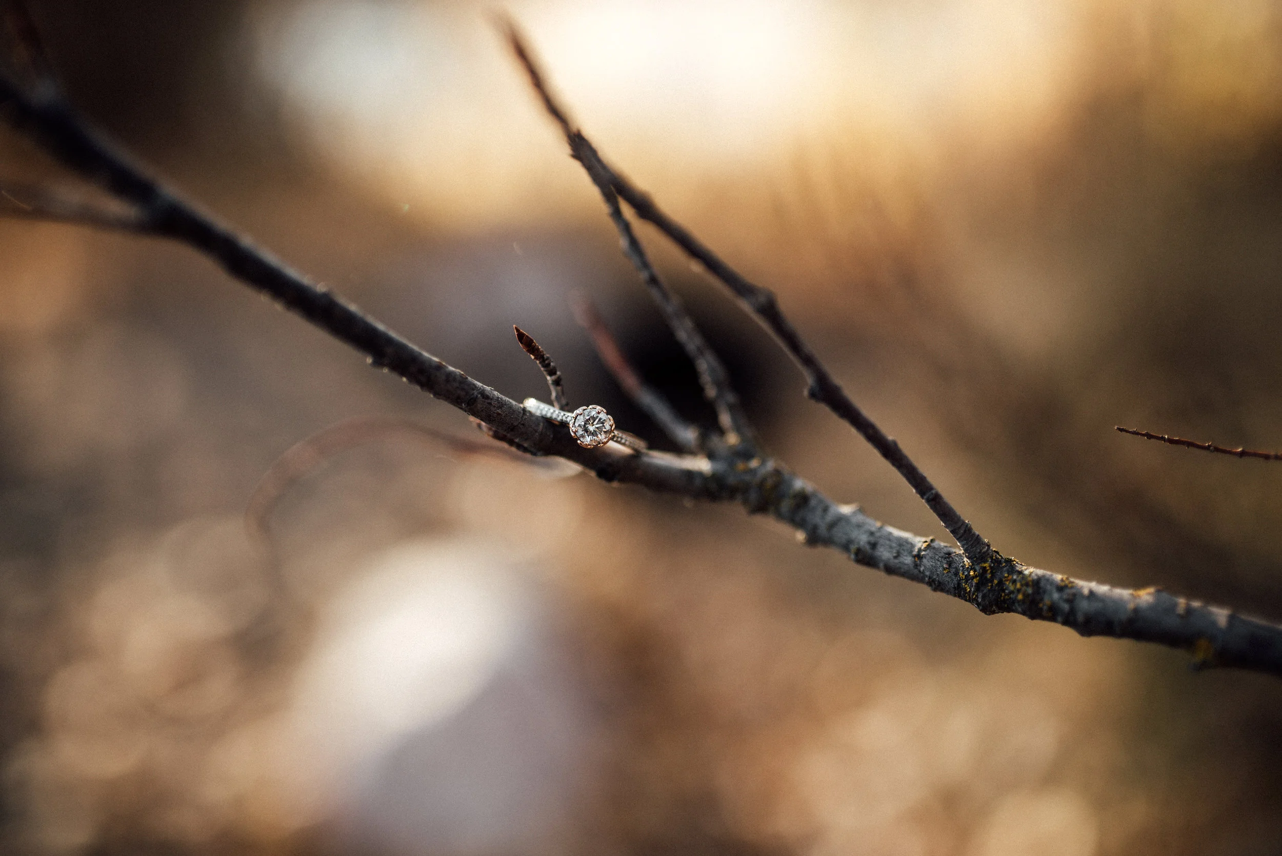 AshCaitPhoto-183.jpg