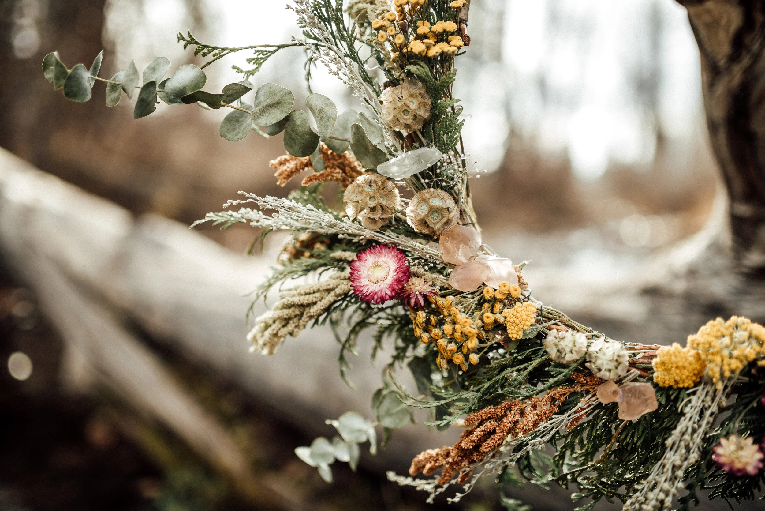 AshCaitPhoto-539.jpg