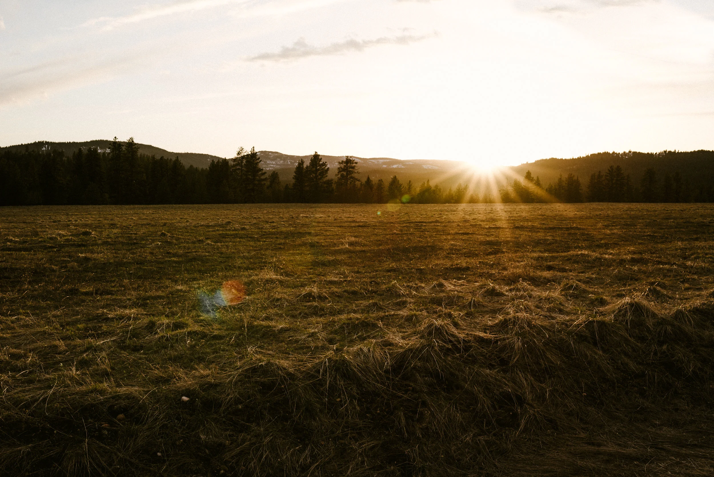 AshCaitPhoto-387.jpg