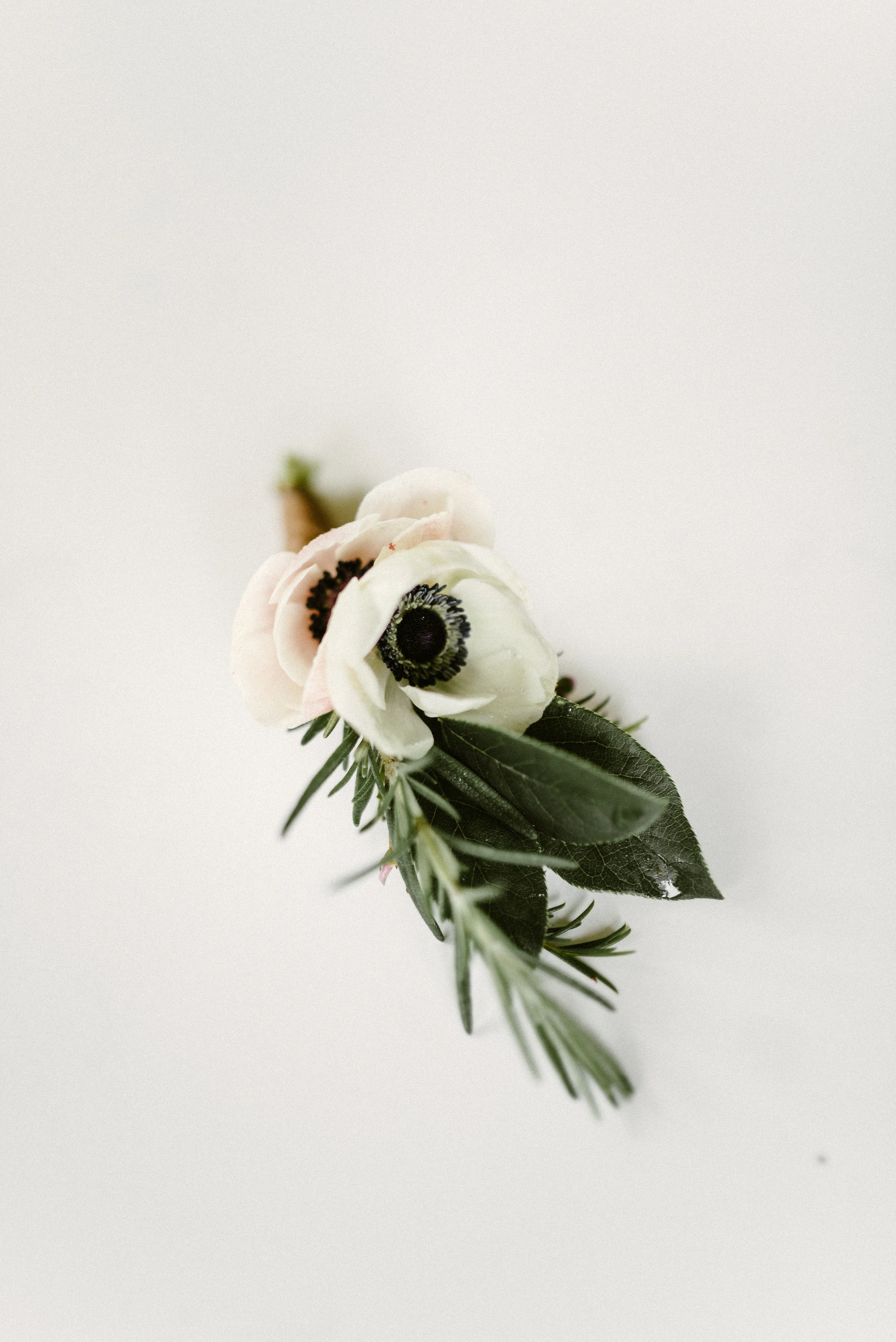 AshCaitPhoto-52.jpg
