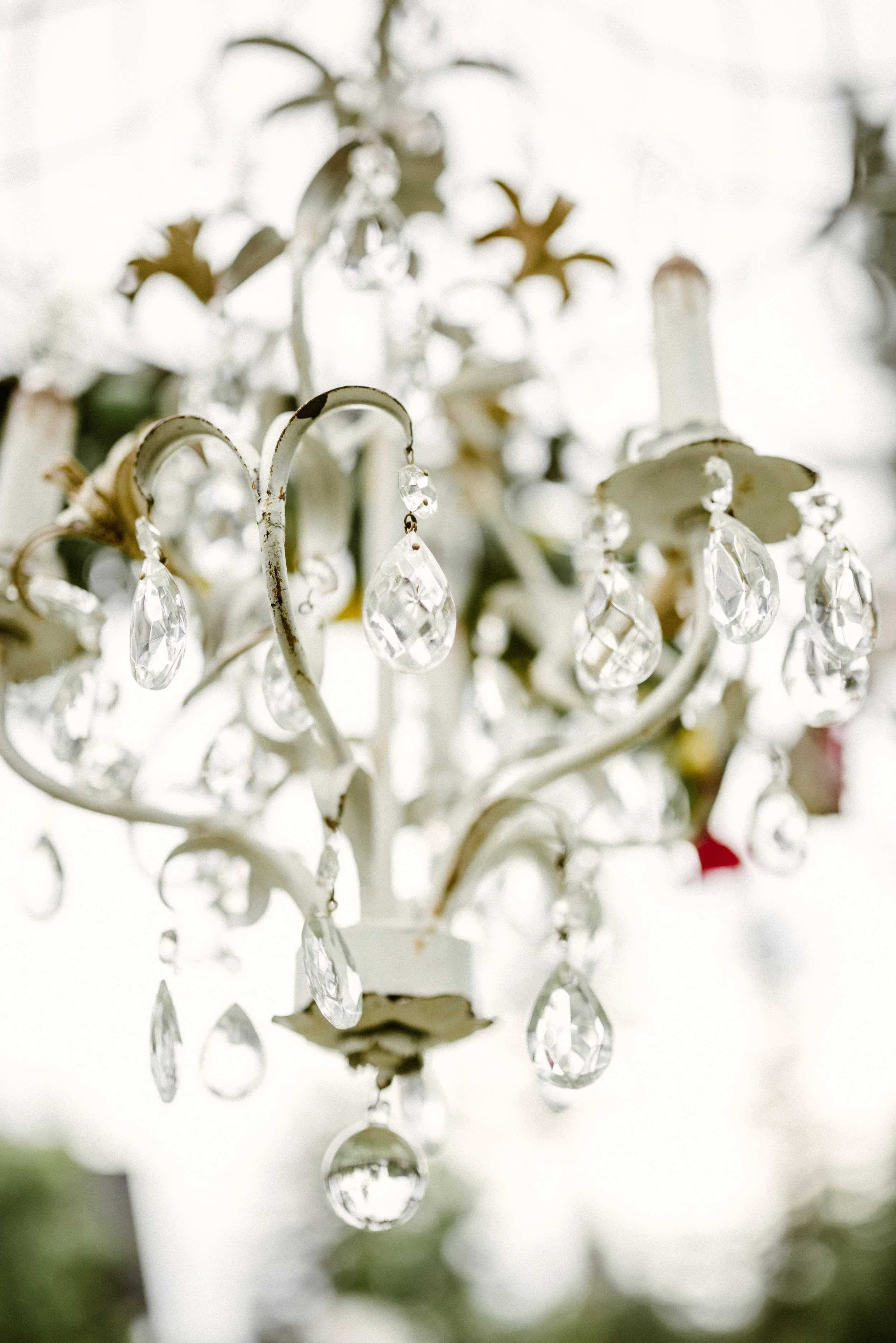 AshCaitPhoto-125.jpg