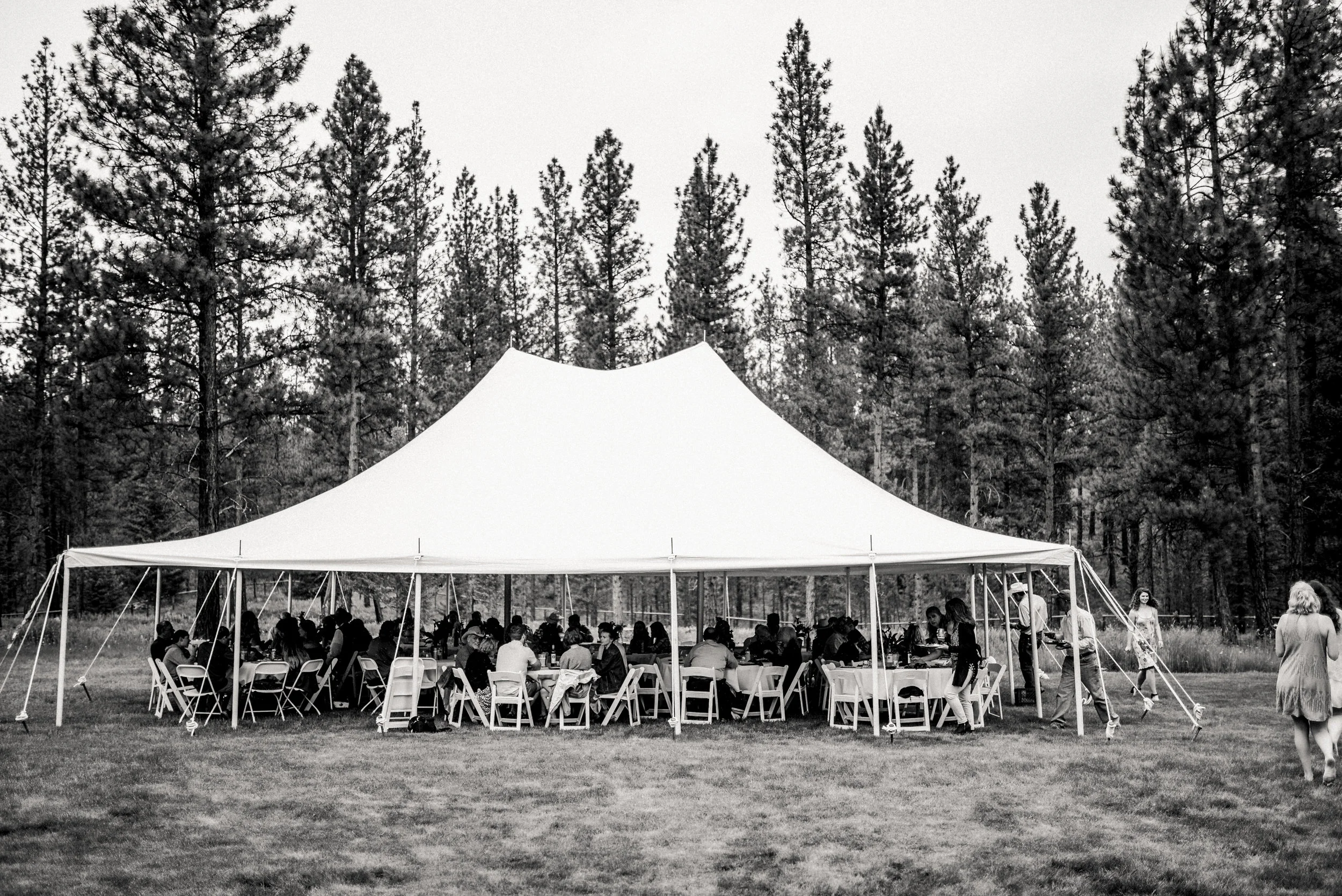 AshCaitPhoto-37.jpg