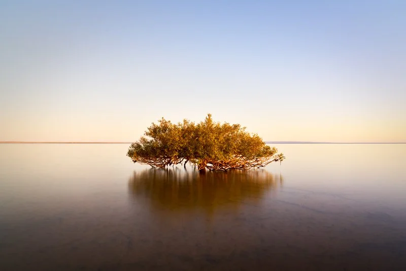  Giralia Bay, Western Australia (July, 2022) 