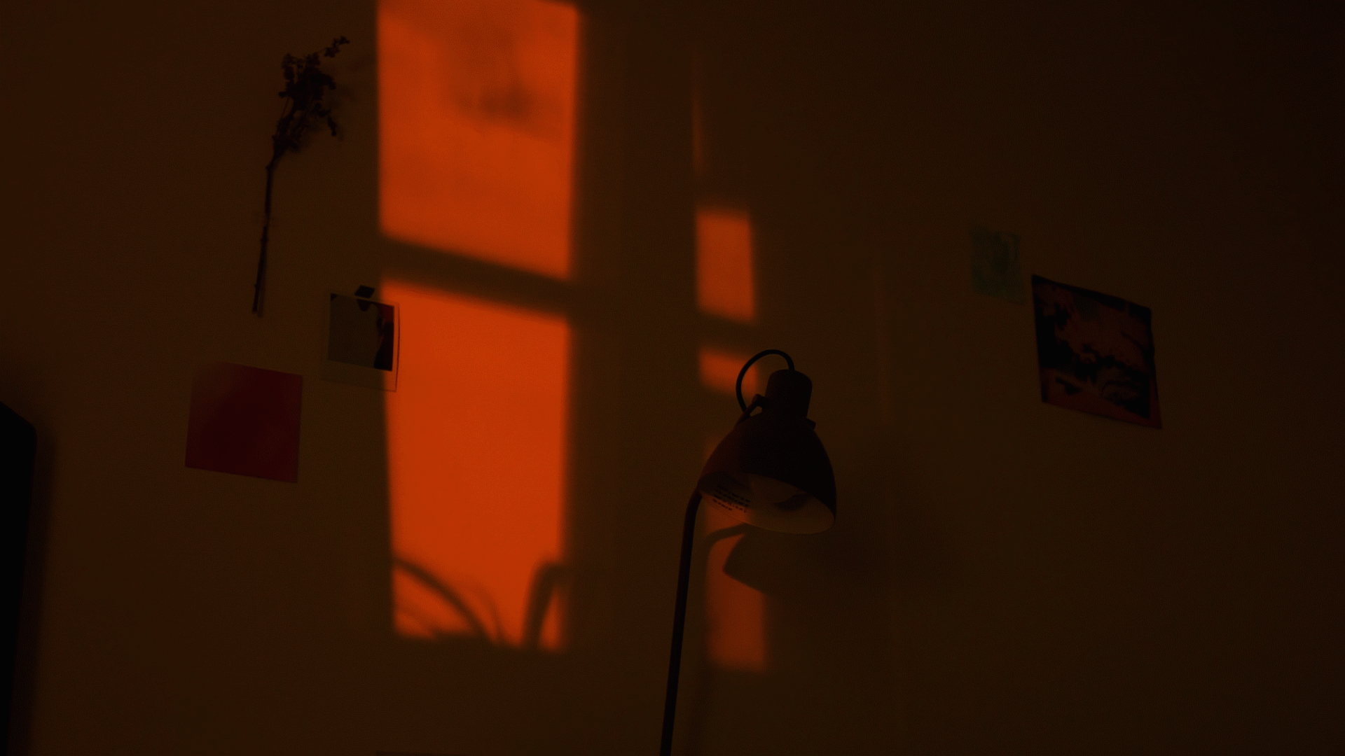 00251_3.gif