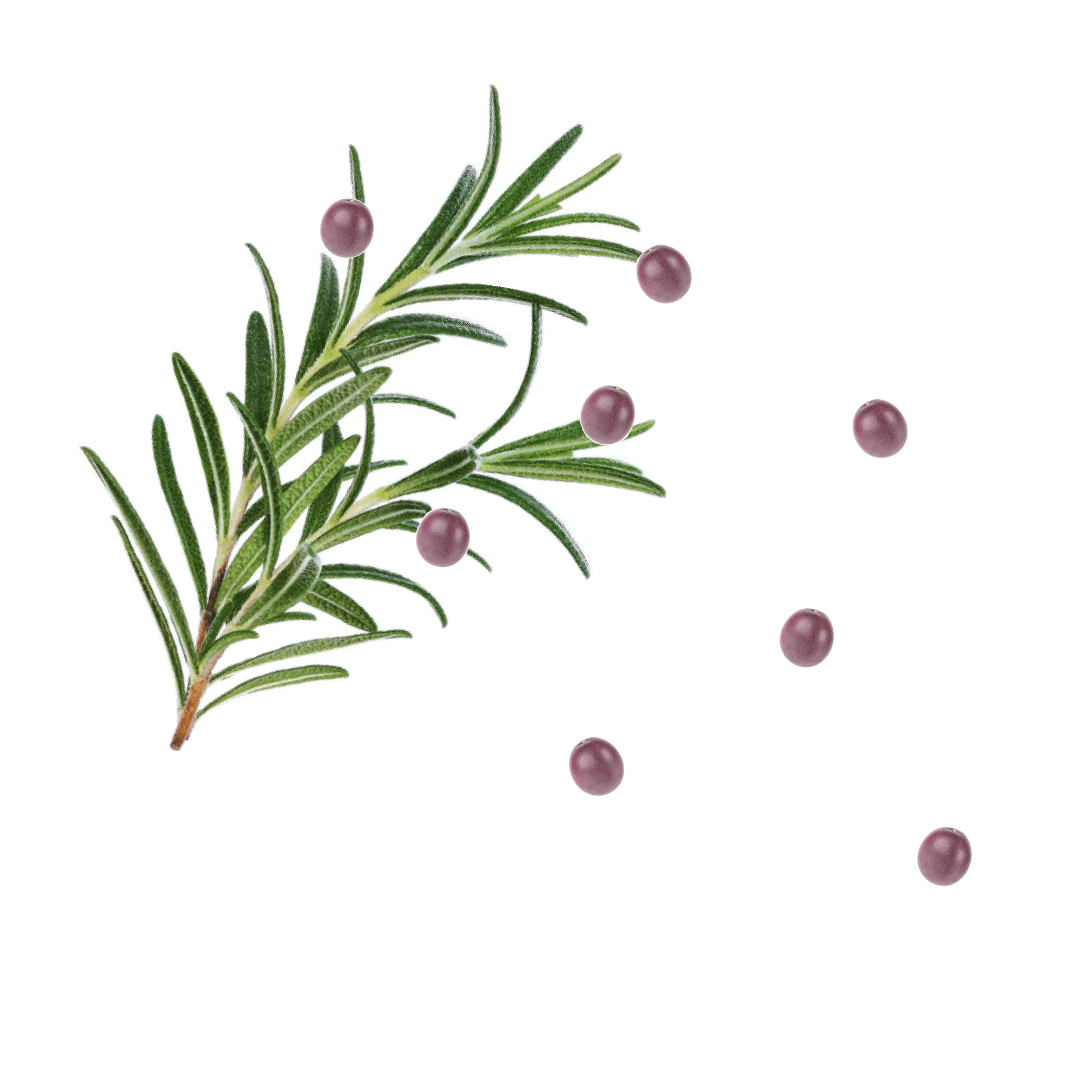 PassionfruitRosemary_Sticker.gif
