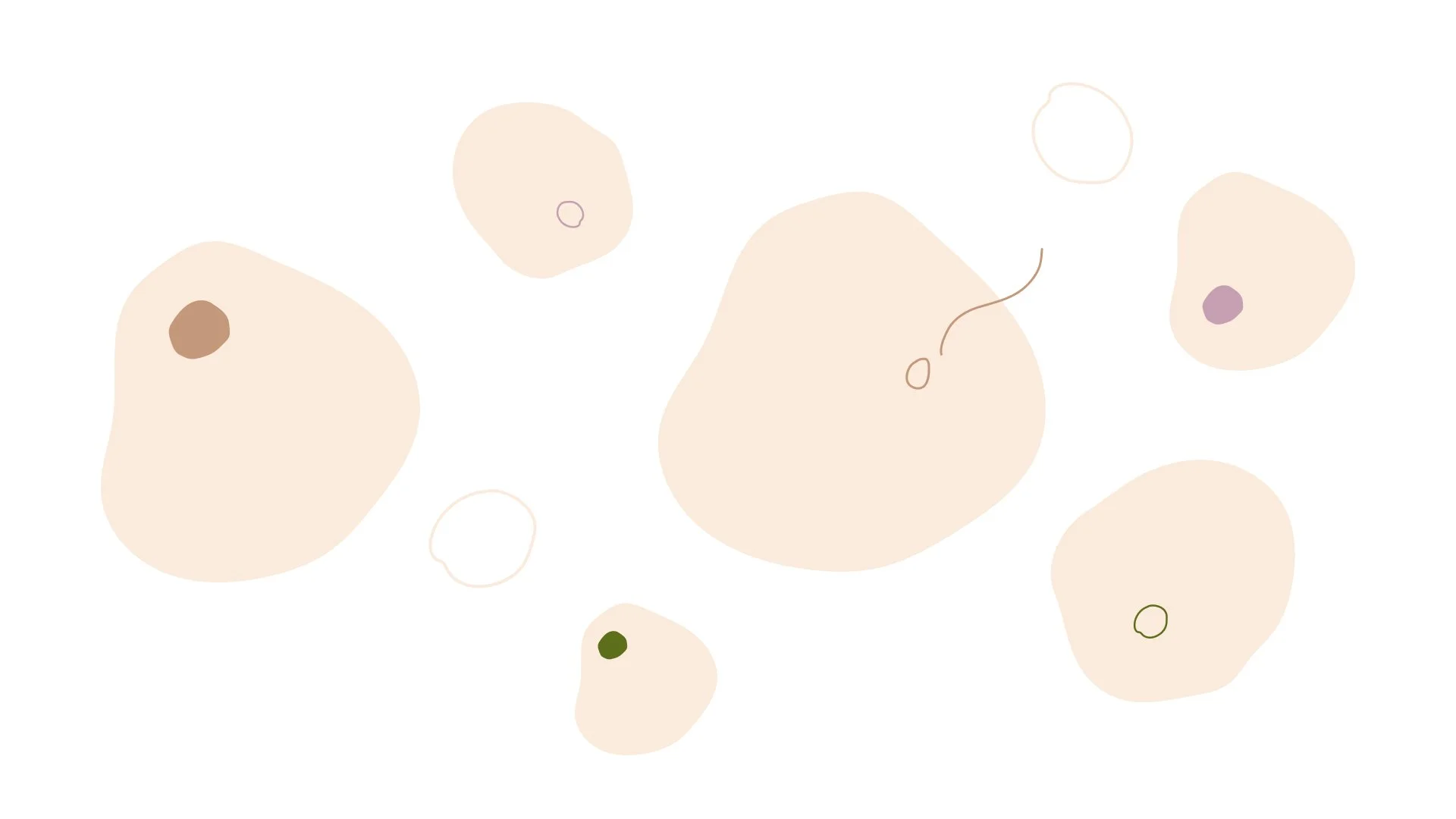 Primary Graphic Elements.jpg