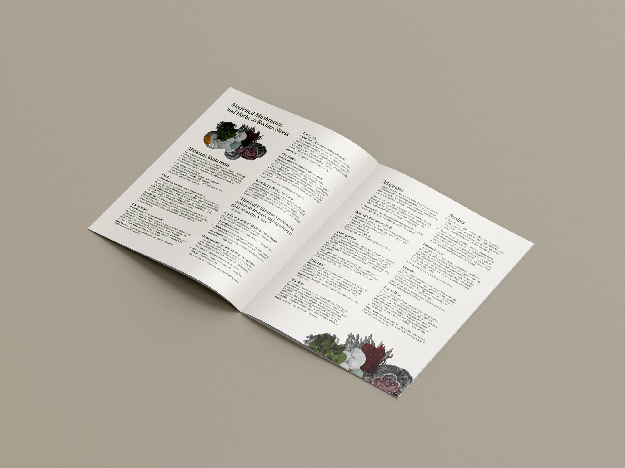 Free_Letter_Brochure_Mockup_6.jpg