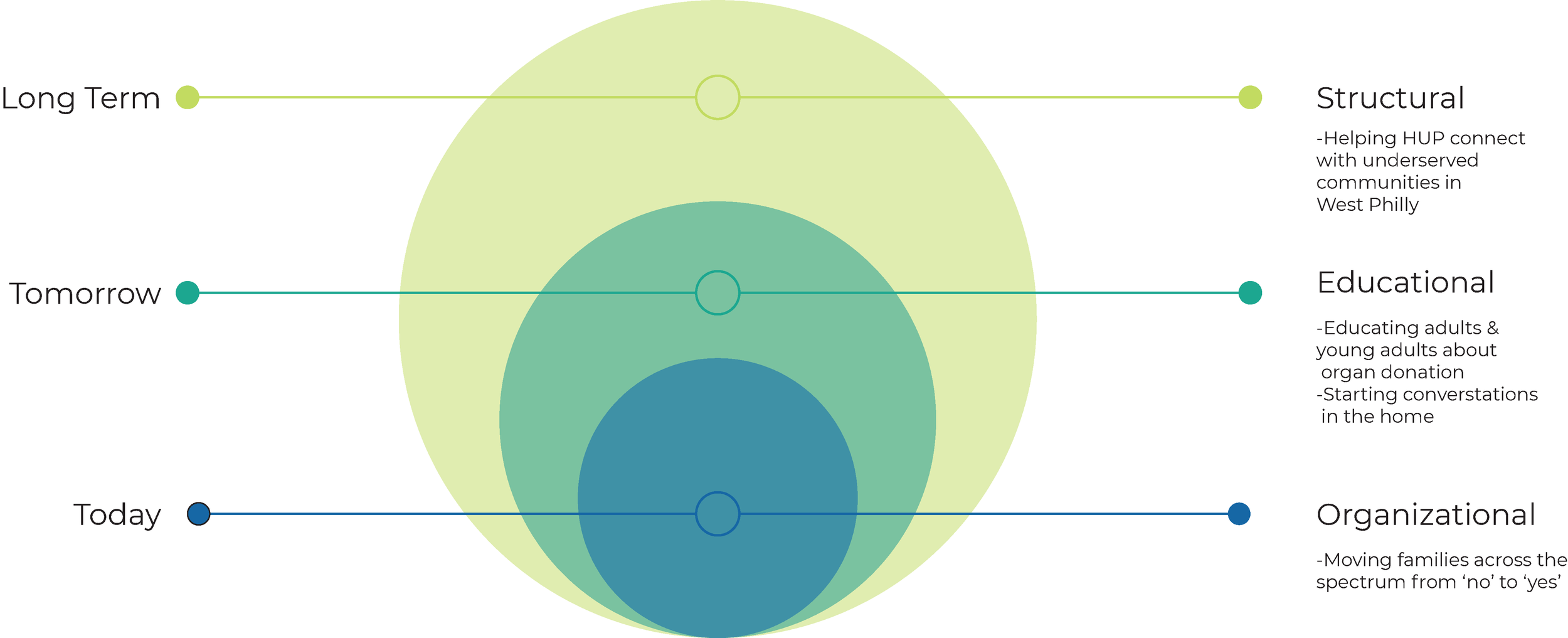 Solution Structure .png