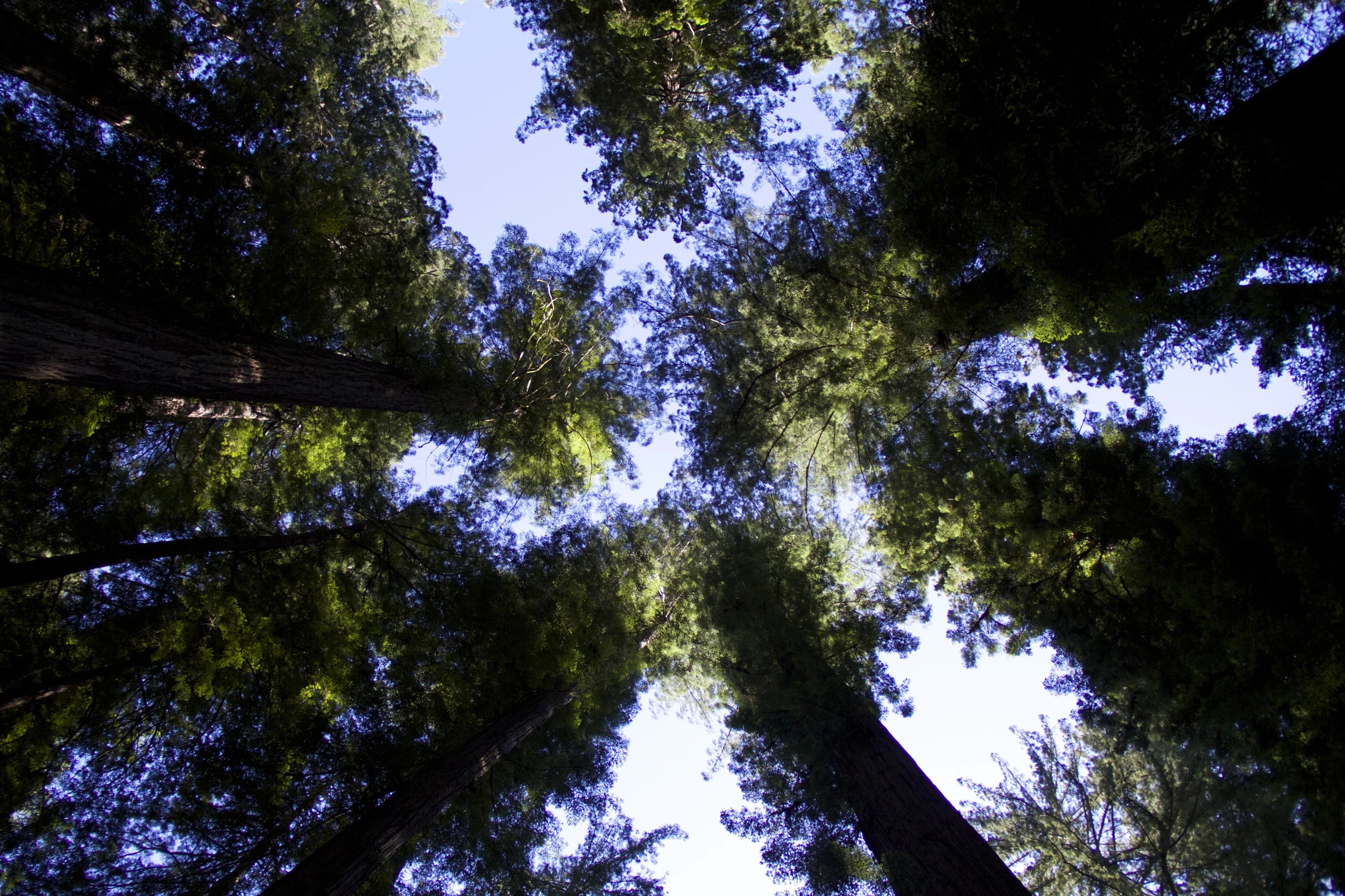 IMG_2624.jpg