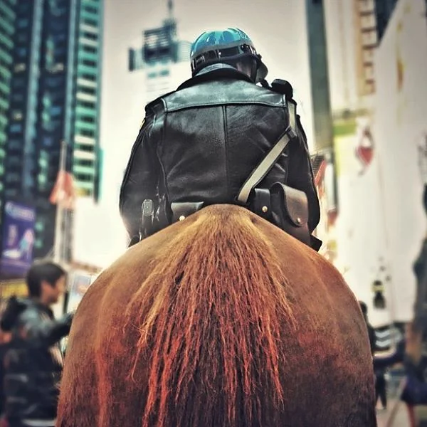 Don't be a horse's ass.