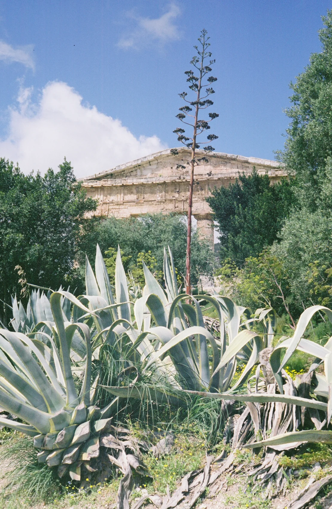 FH000019.jpg