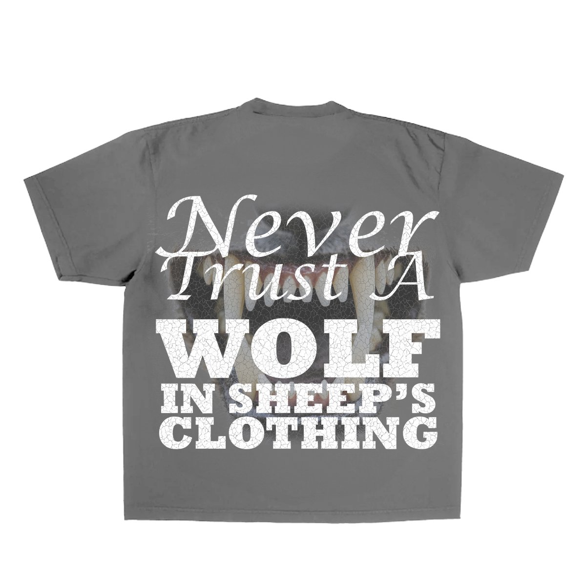 wolf in sheeps clothing_back.jpg