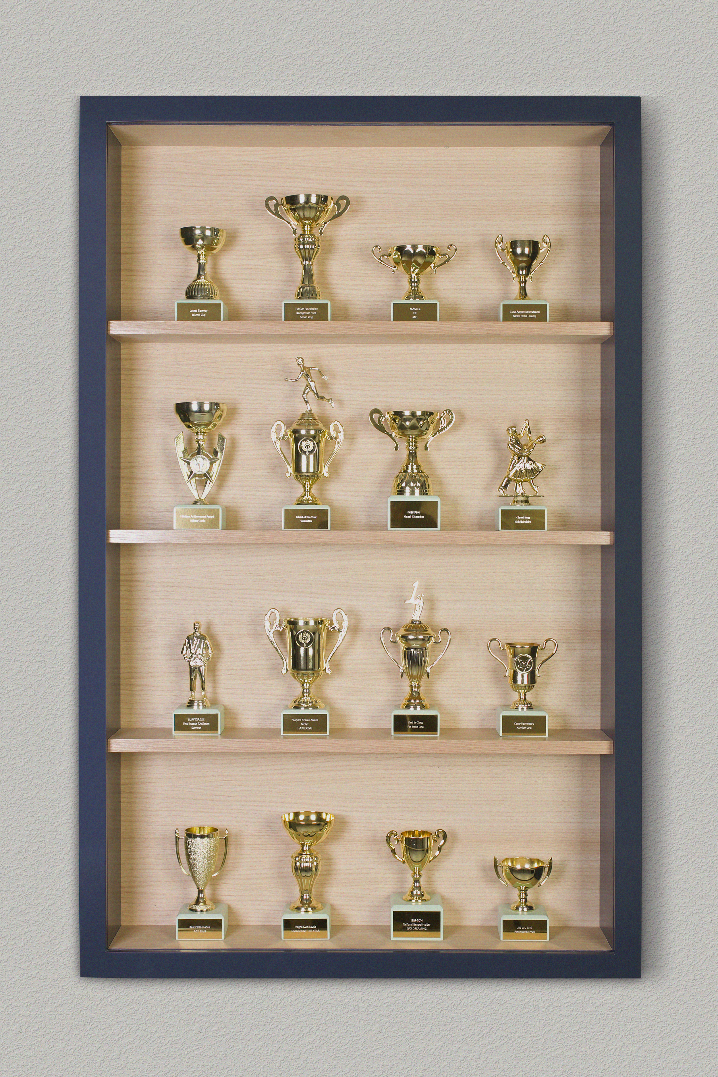 TROPHY WALL