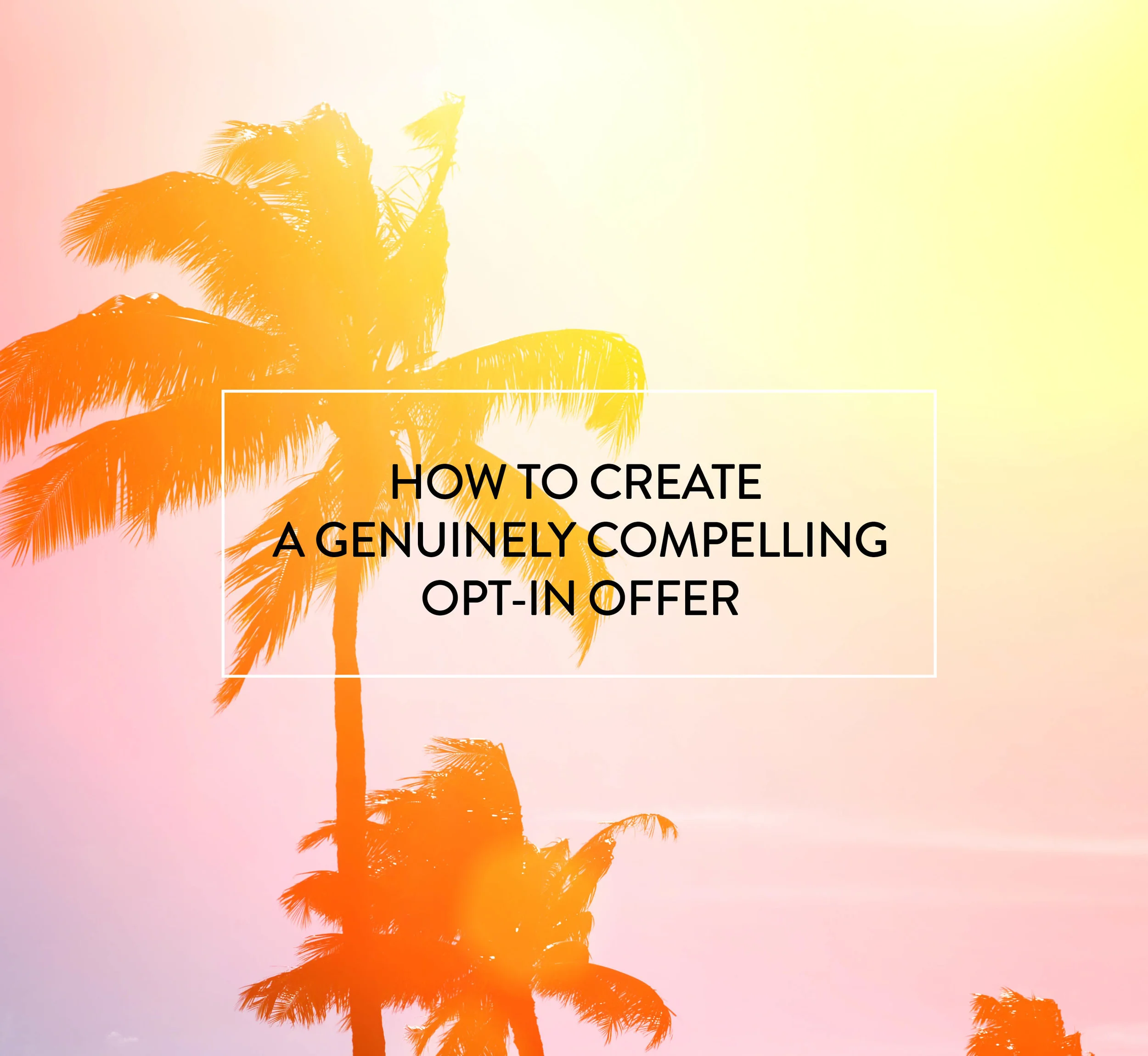 Create a compelling opt-in offer.jpg