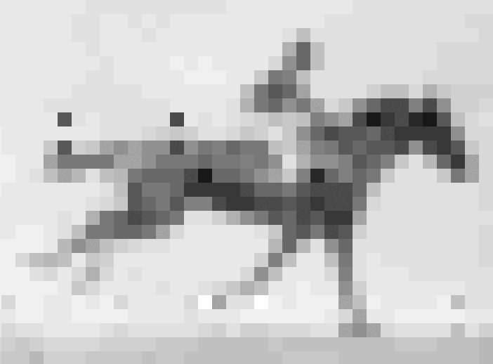 Horse_GIF_index.gif