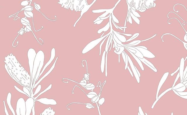 AUSTRALIANA
#banksia #illustrator #art #surfacedesign #print #pattern