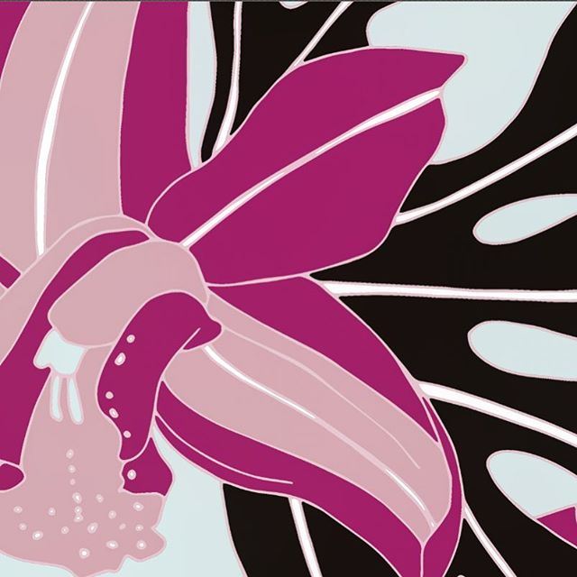 orchids and monsteras