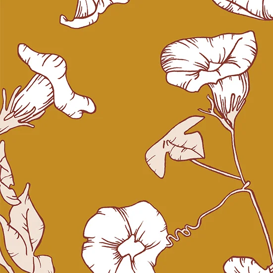 morningglory_mustard_crop.jpg