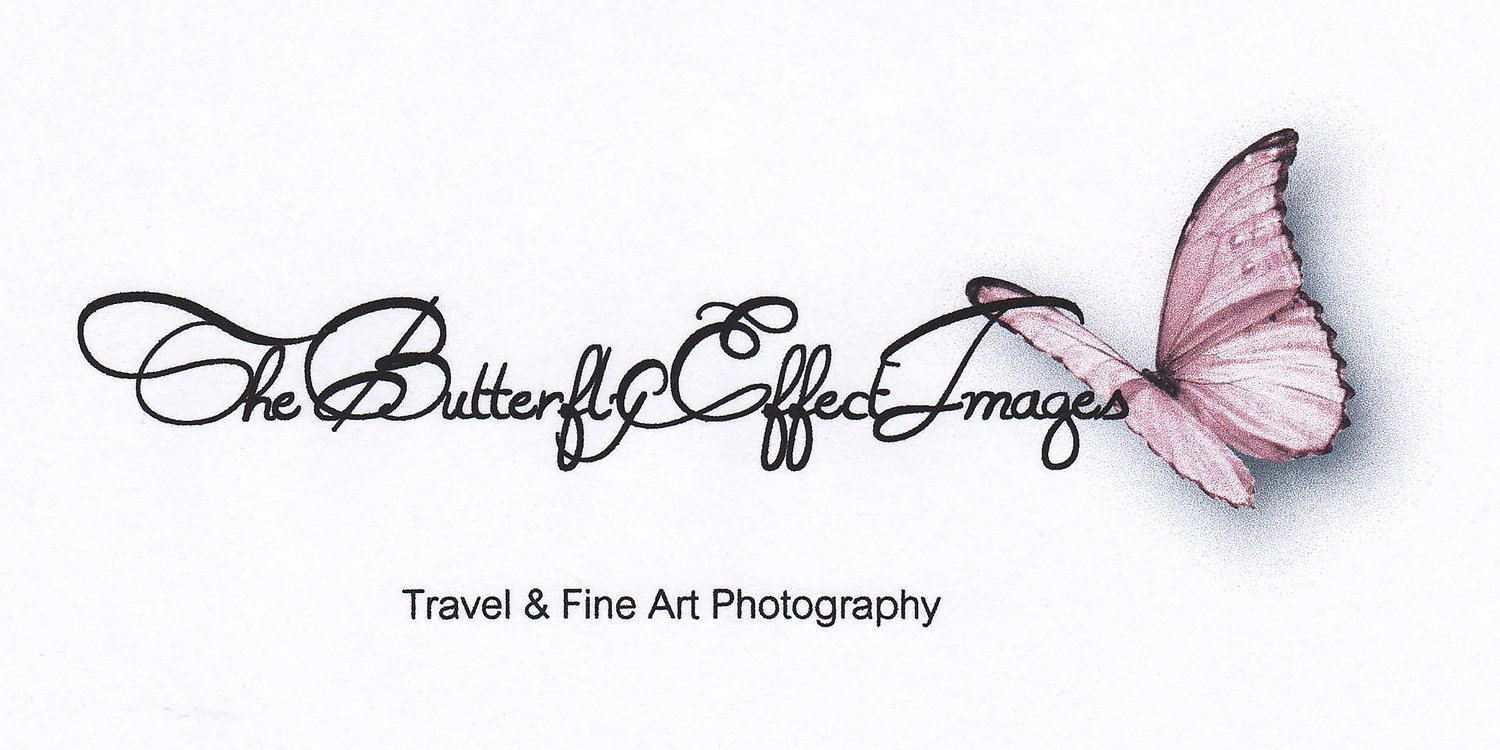 The Butterfly Effect Photography