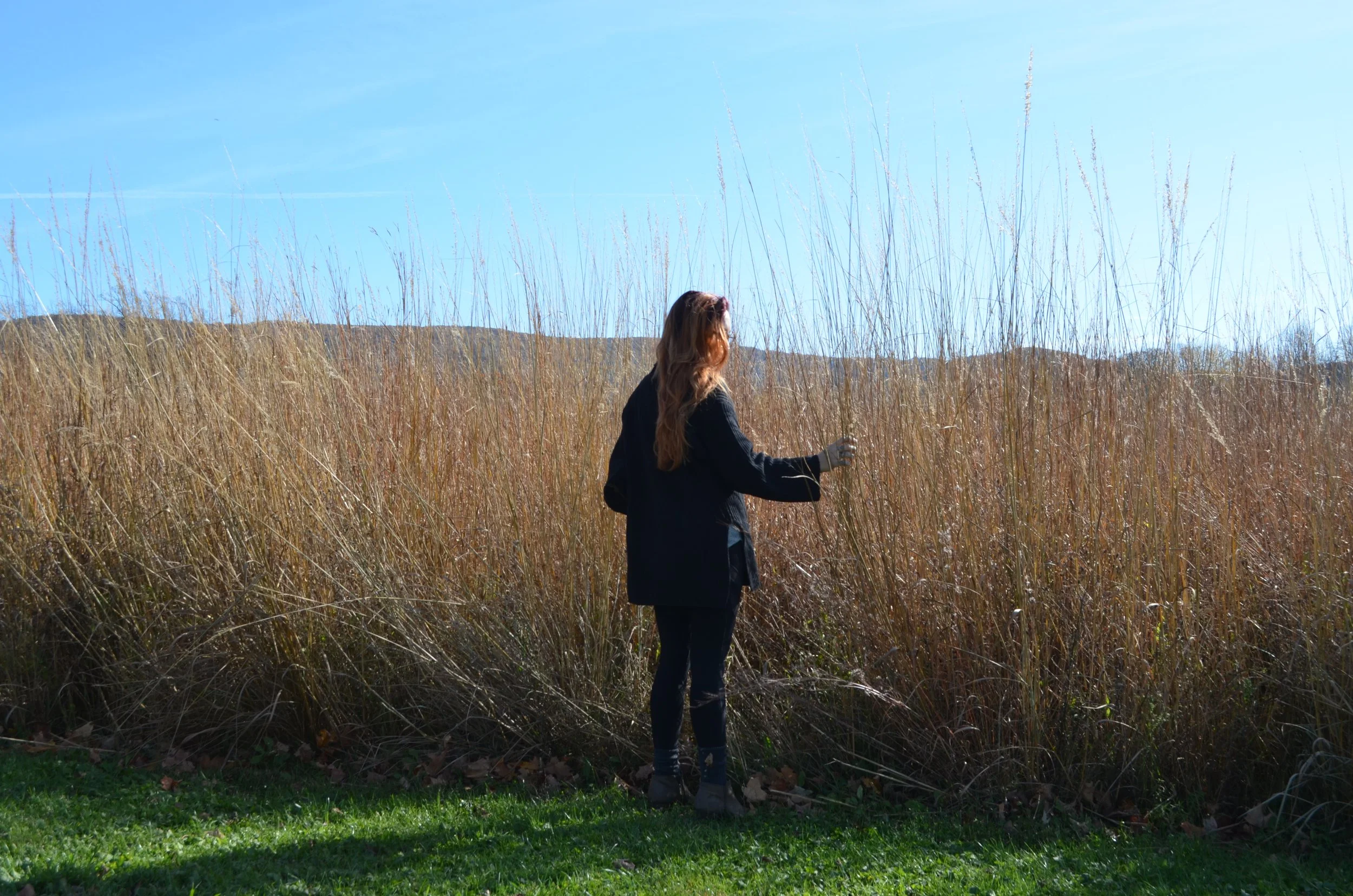 Undoing The Impact of Shame &amp; Blame: Centered Self-Accountability