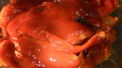 20150108085344+(1)+Foto+pimiento+1.jpg