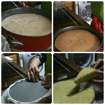 montaje 3.jpg
