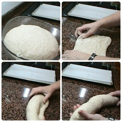 montaje 4.jpg