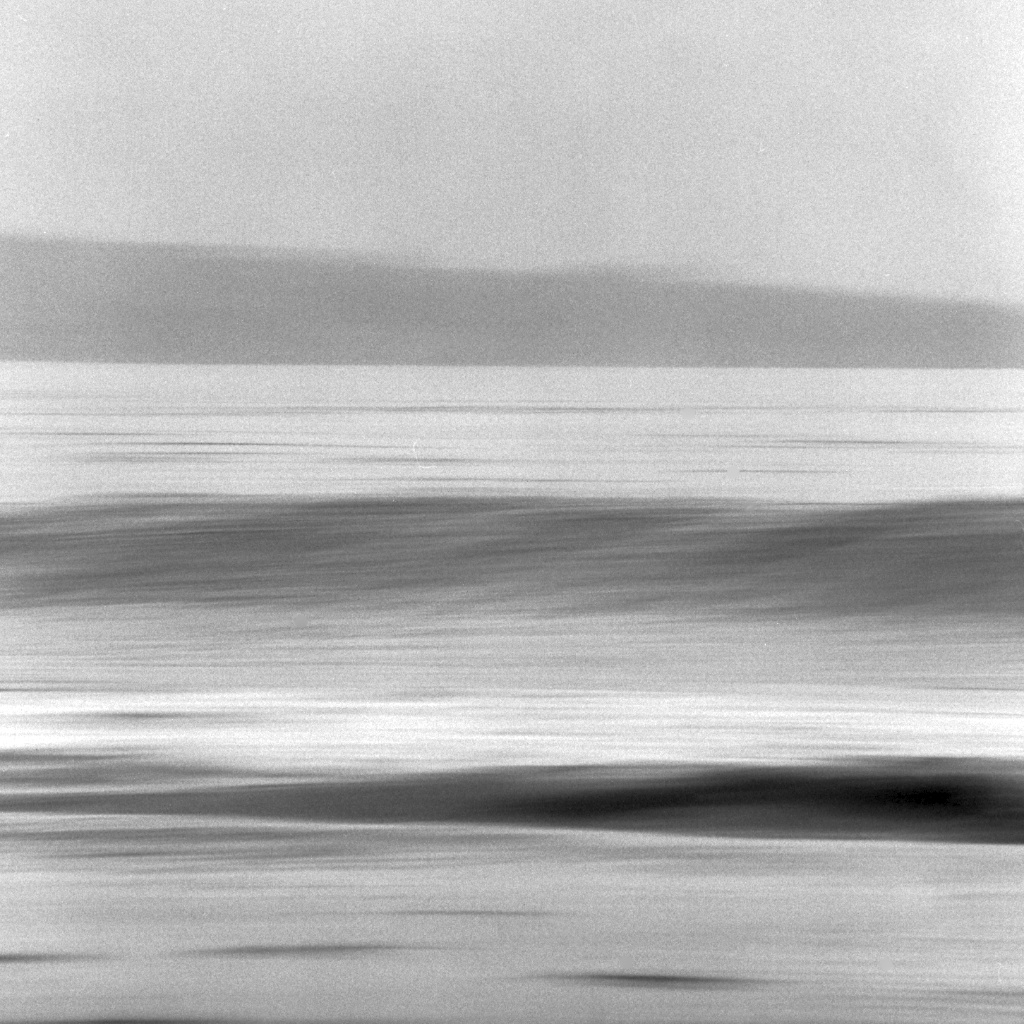 [#034509] Smooth wave, Study 1, Santa Cruz, USA, 2013