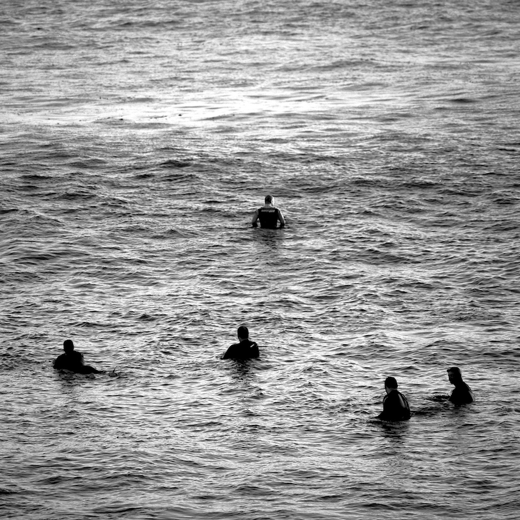 [#034811] The head of the pack, Santa Cruz, USA, 2013