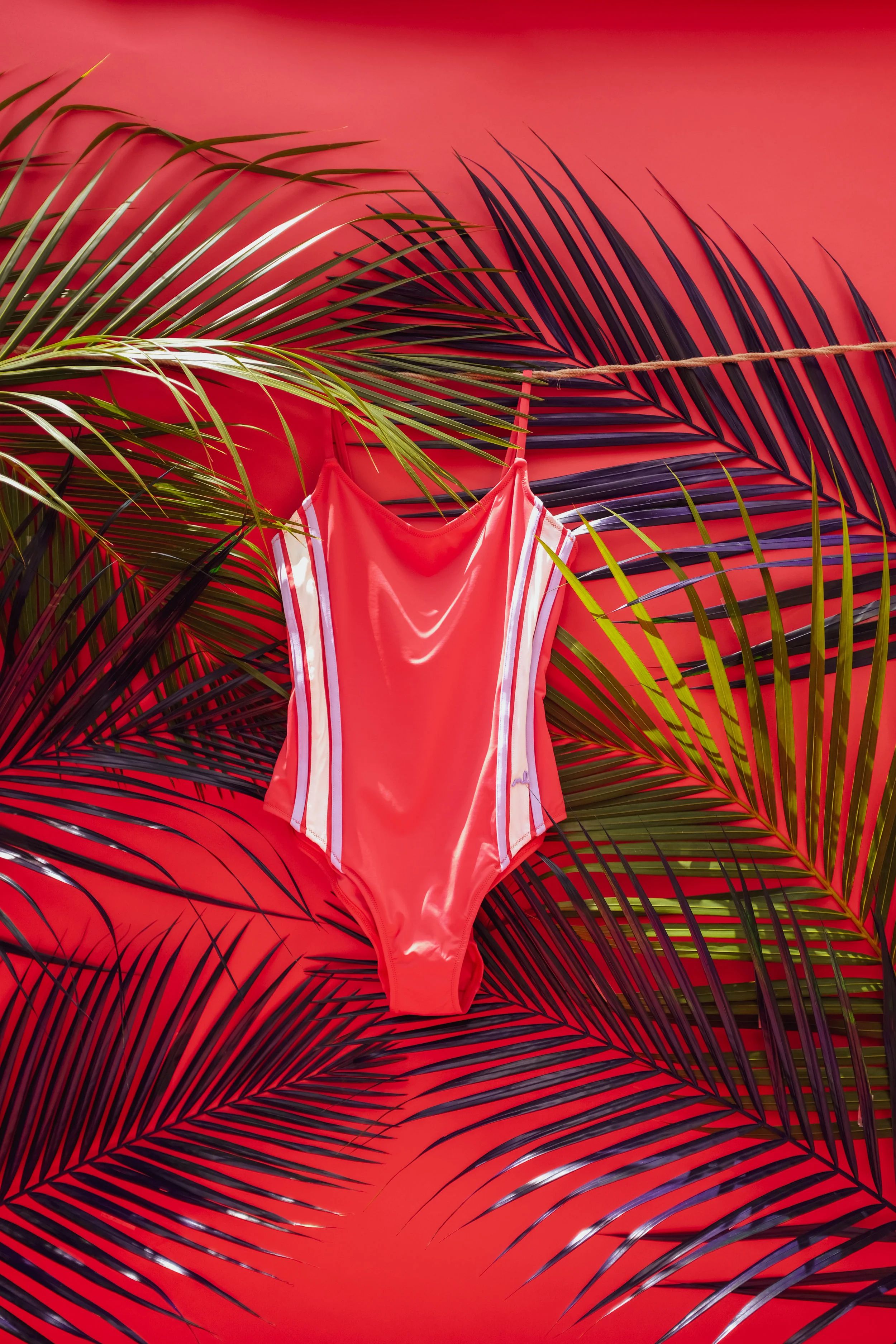 DSCF2373.jpg