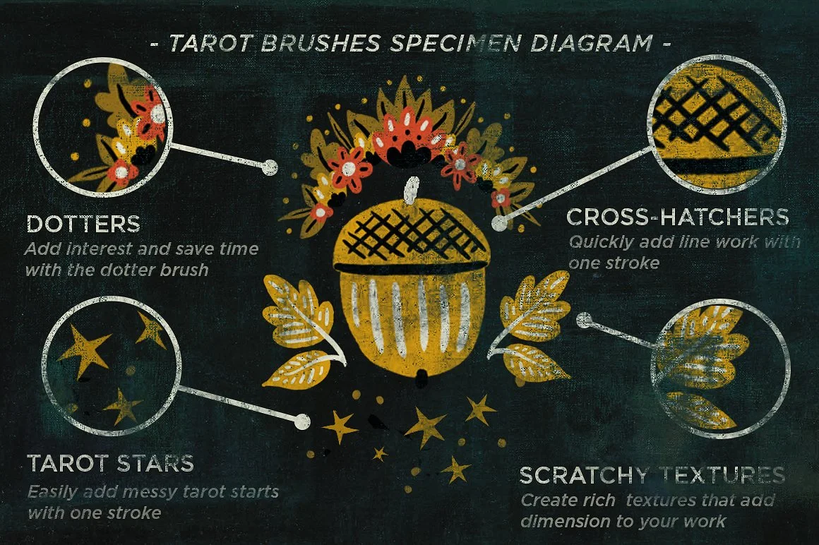 tarotbrushes_diagram-.jpg
