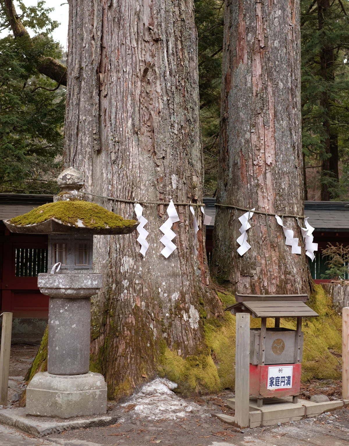 Shrines in Nikko 