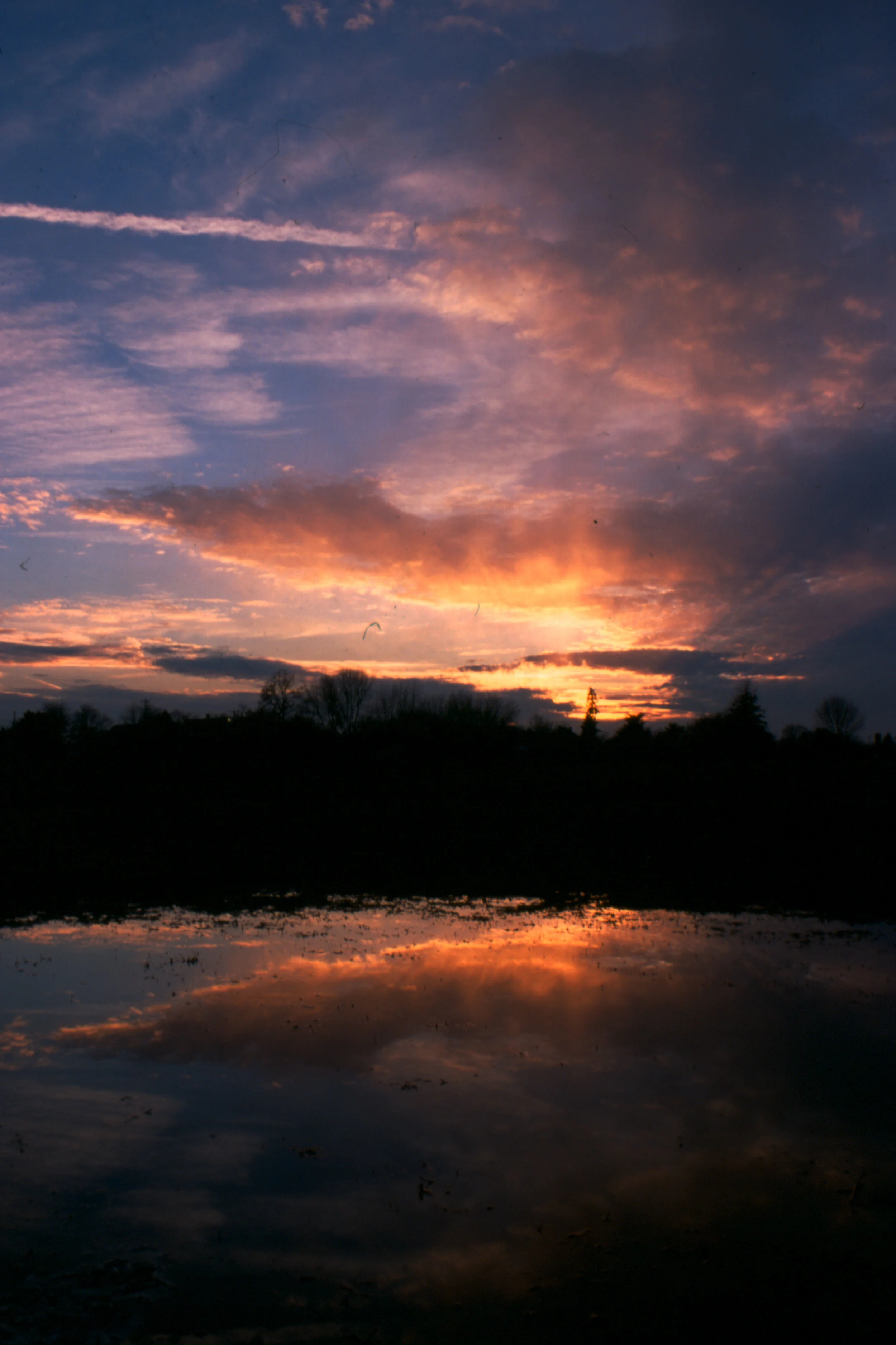 vivid_2175625272_o.jpg