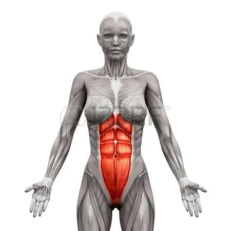 Common tightness in the abdomen can be found in both men and women who do a lot of core body work such as ball slams, pilates, planks, box jumps, etc and don't take the time to stretch the abdomen, so don't forget it in your daily stretches. 
