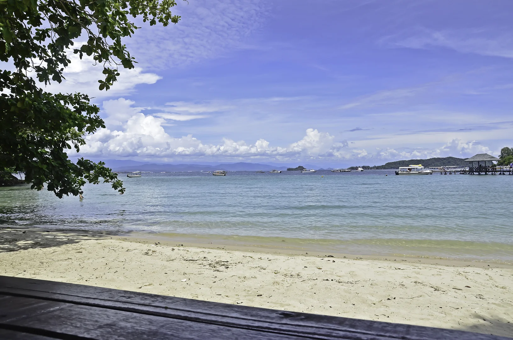 Borneo. Photo: Doreen Ambridge