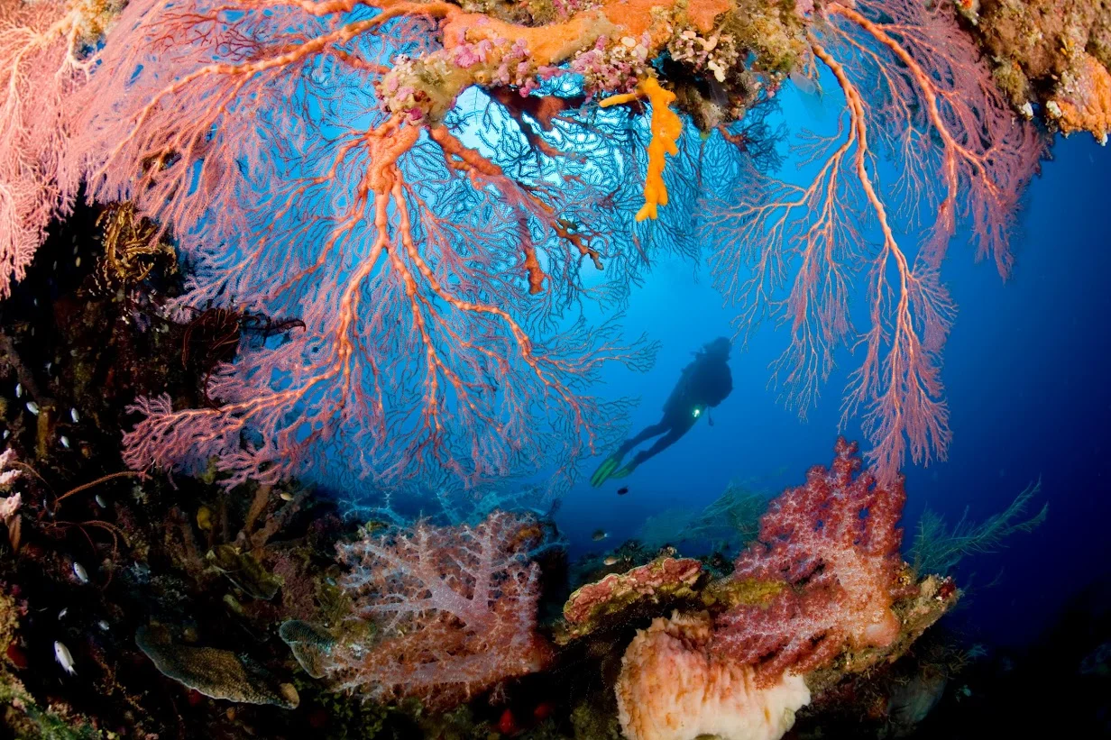 2013-12-22.jpg
