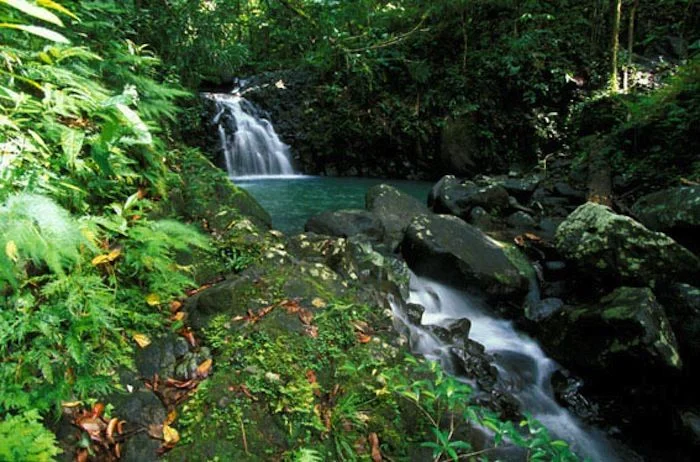 Waterfall-41-700-550-80.jpg