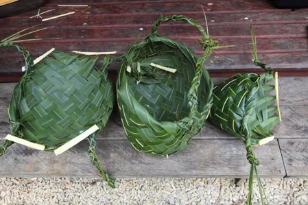Solomons_303.jpg