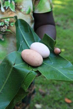 Solomons_93.jpg