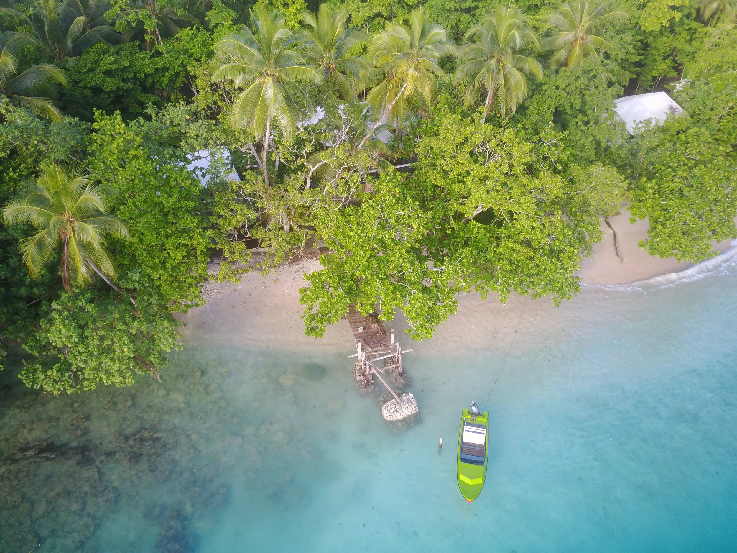 Evis Resort Solomon S Secluded Island Resort With Amazing Snorkeling