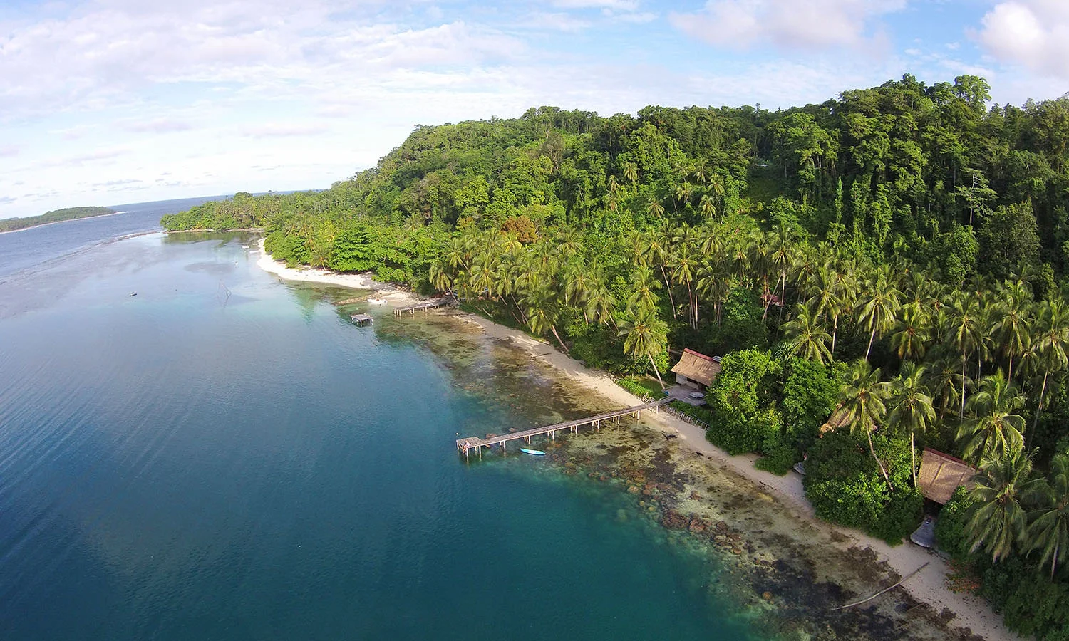 GL32-SOLOMONS-SS-WILD72B3E.jpg