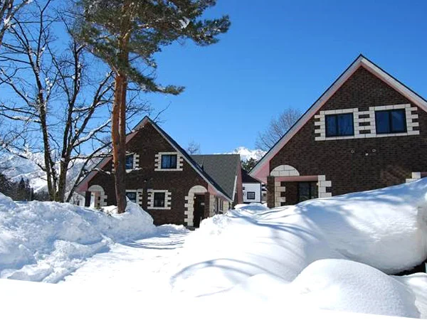 alpinechalet3.jpg