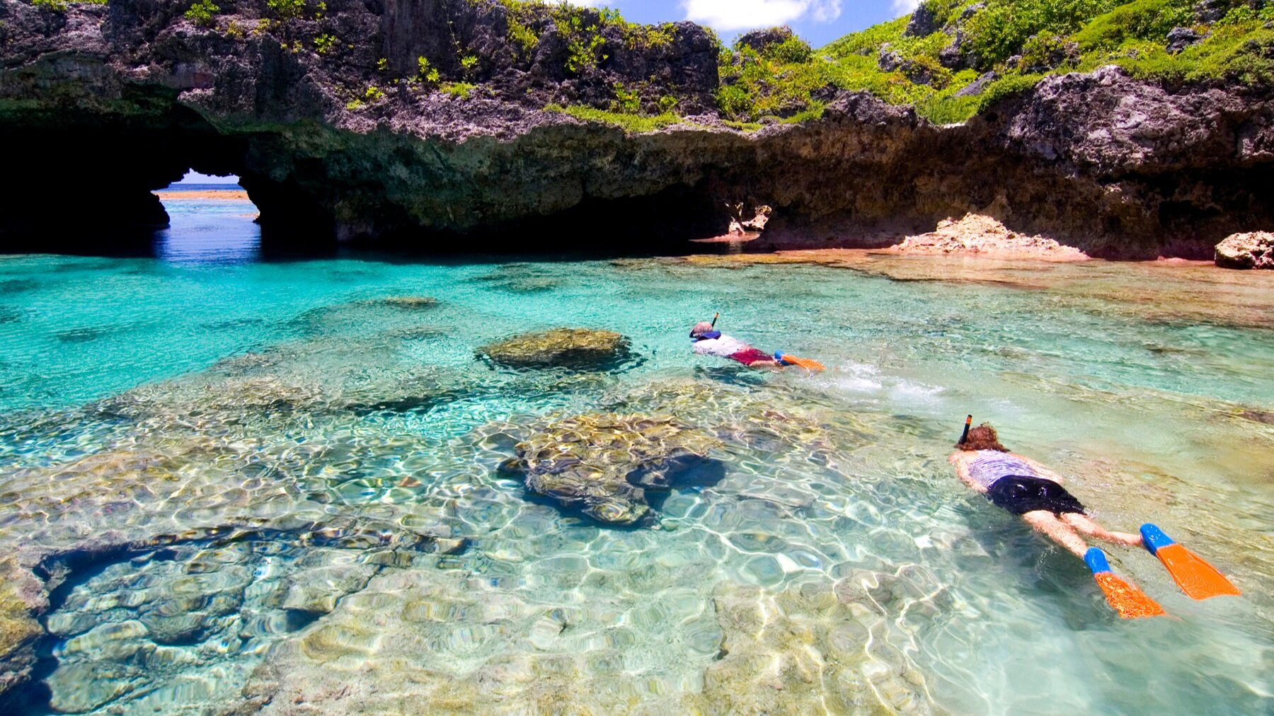 niue-snake-snorkeling.jpg