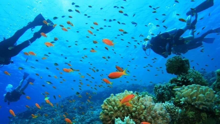 Eco-resort-surf-fiji-home-7_sm.jpg