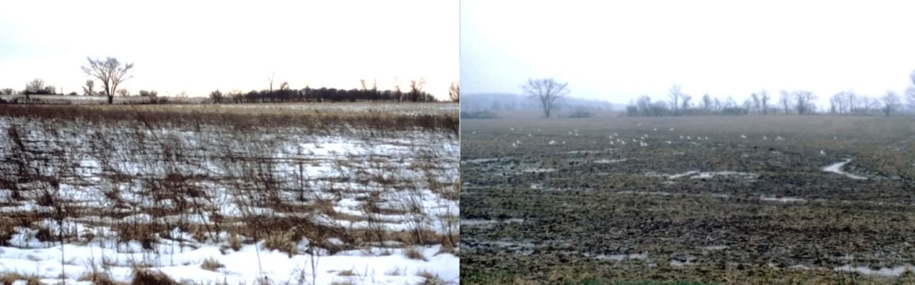 The above are examples of the landscape images I used to make the pieces in The Mourning of Memory.